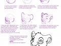 How_to_draw_a_lions_head_by_Aikachi02.jpg